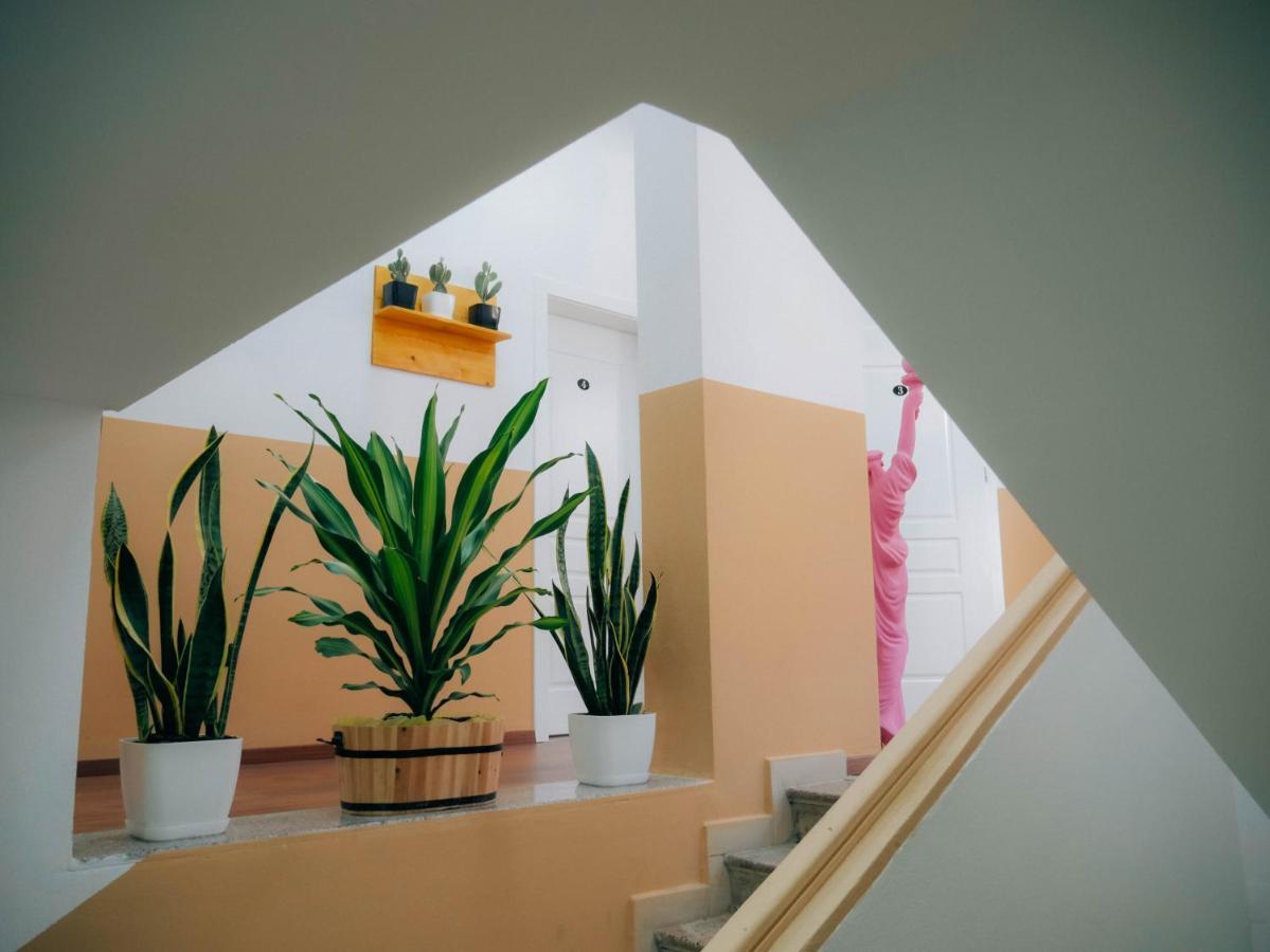 تيرانا The Maze Hostel المظهر الخارجي الصورة