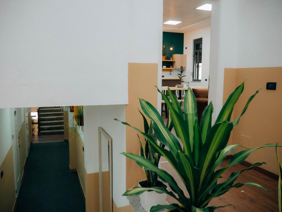 تيرانا The Maze Hostel المظهر الخارجي الصورة